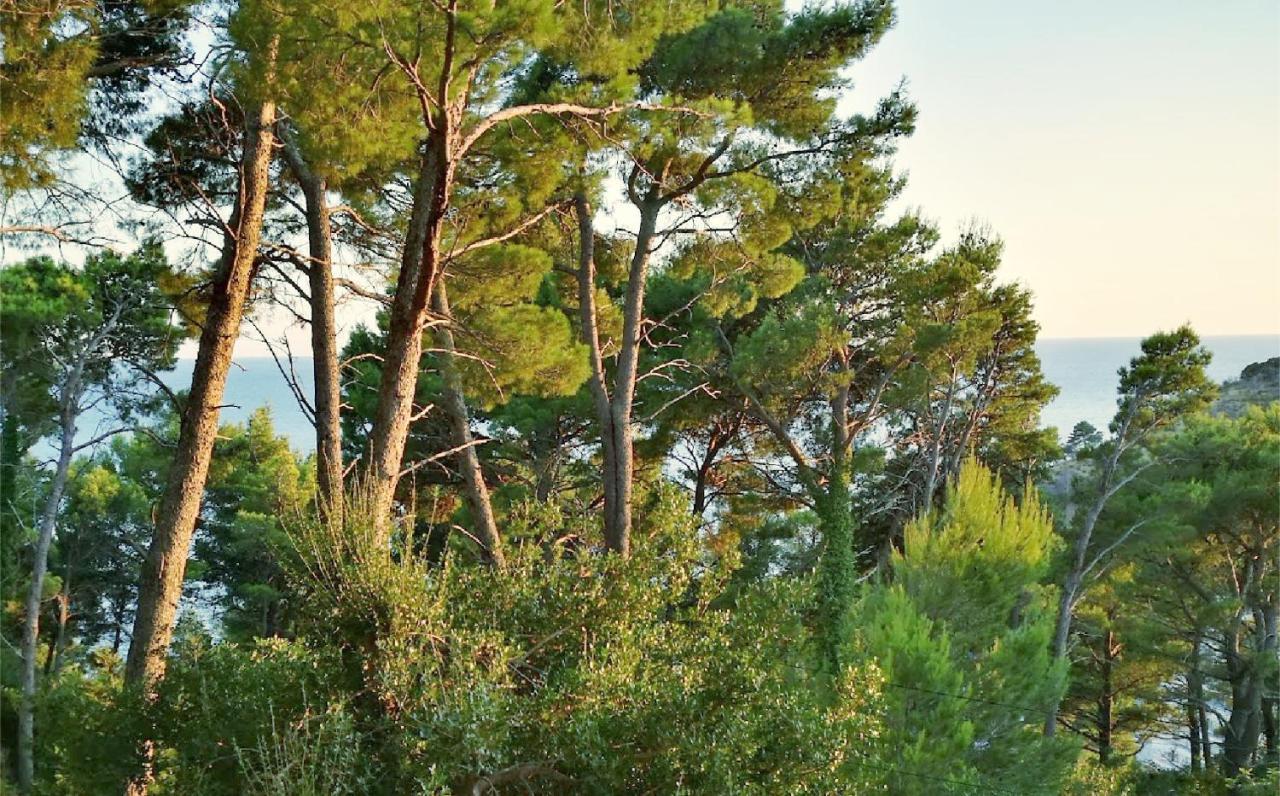 הוילה סוטומורה House In The Pines מראה חיצוני תמונה